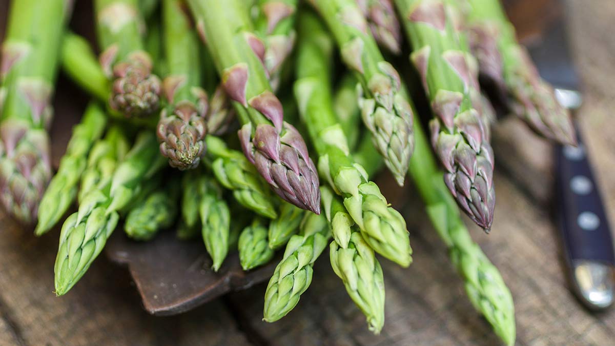 Comment poussent les asperges ?