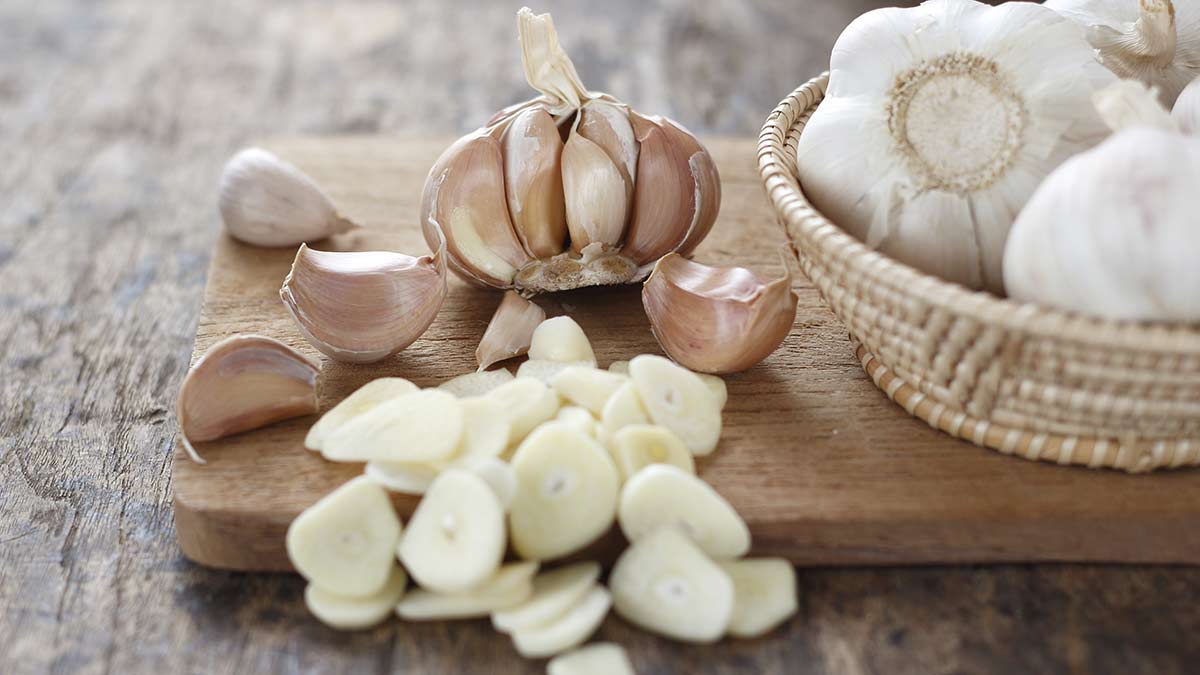 Où vont les bulbes d’ail une fois qu’ils ont été récoltés ?