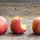 Comment se fait la culture des pommes ?