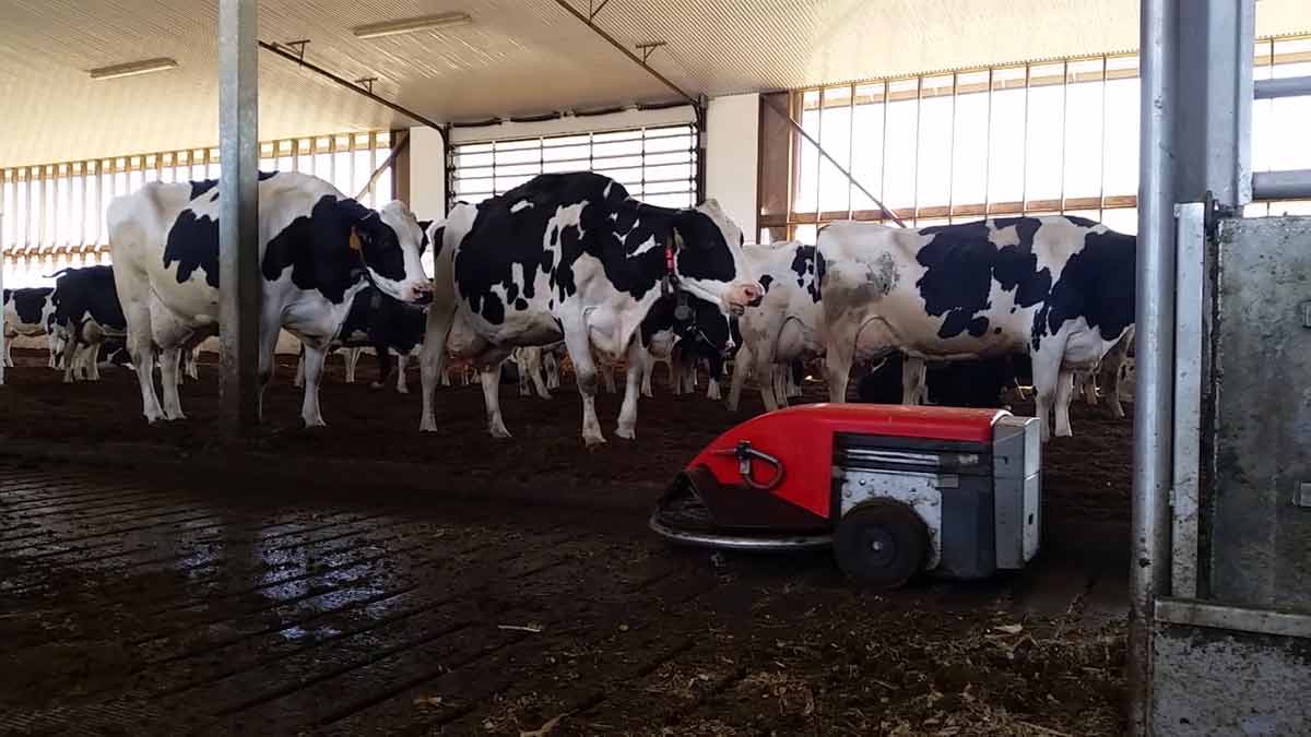 dairy-robotic-cleaner
