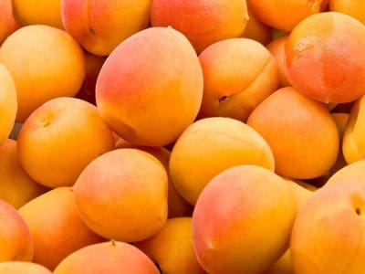 apricot