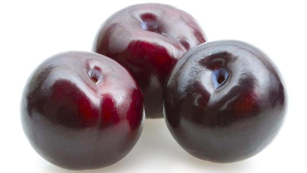 black-plum