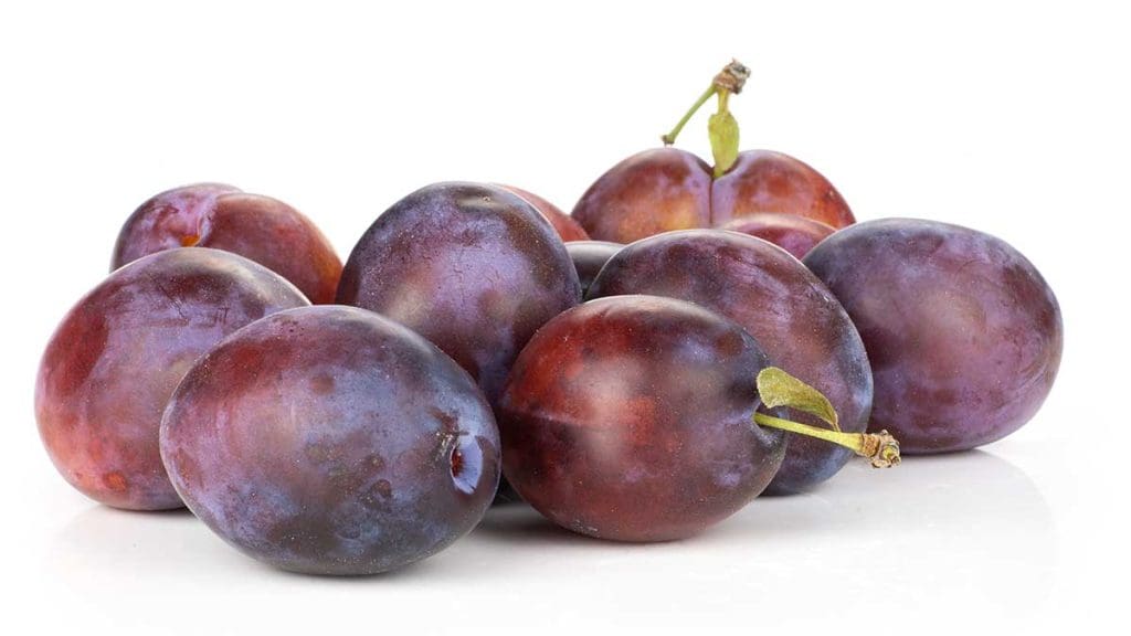 Moyer plum