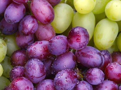 grapes-2