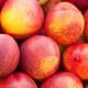 nectarine