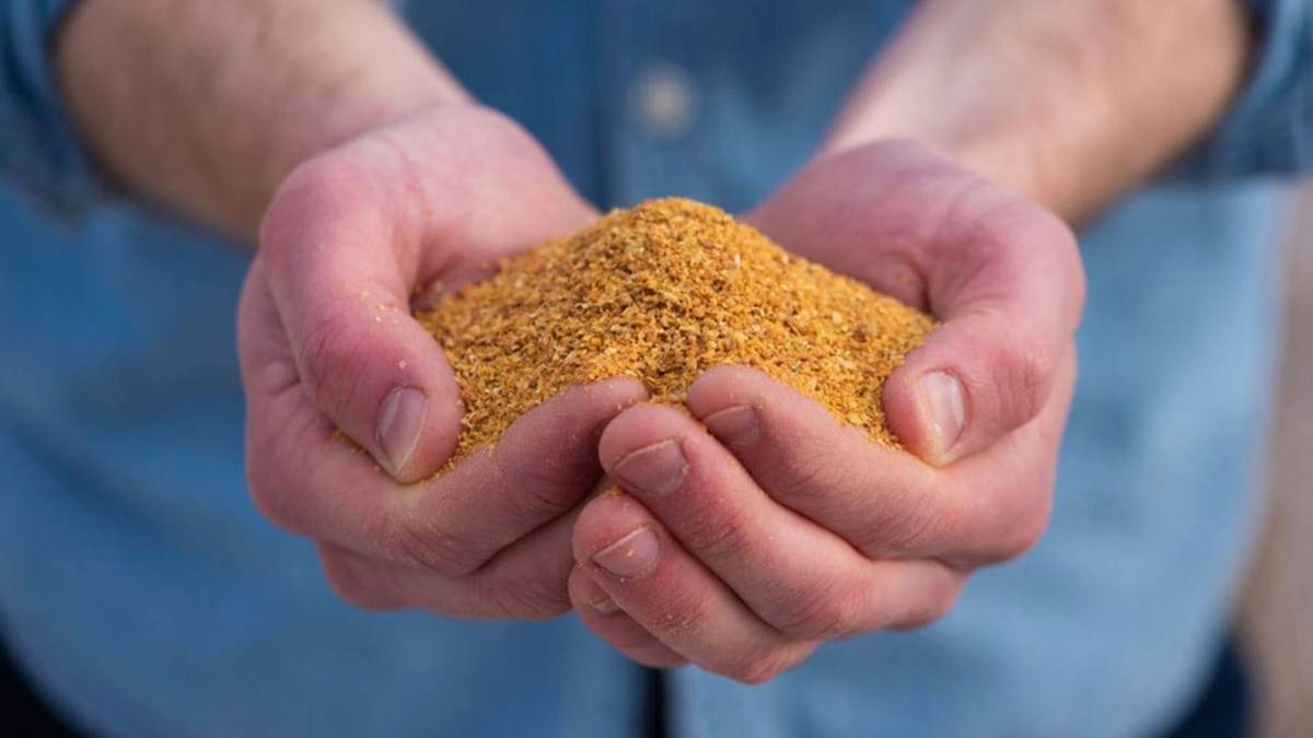 distiller-grains