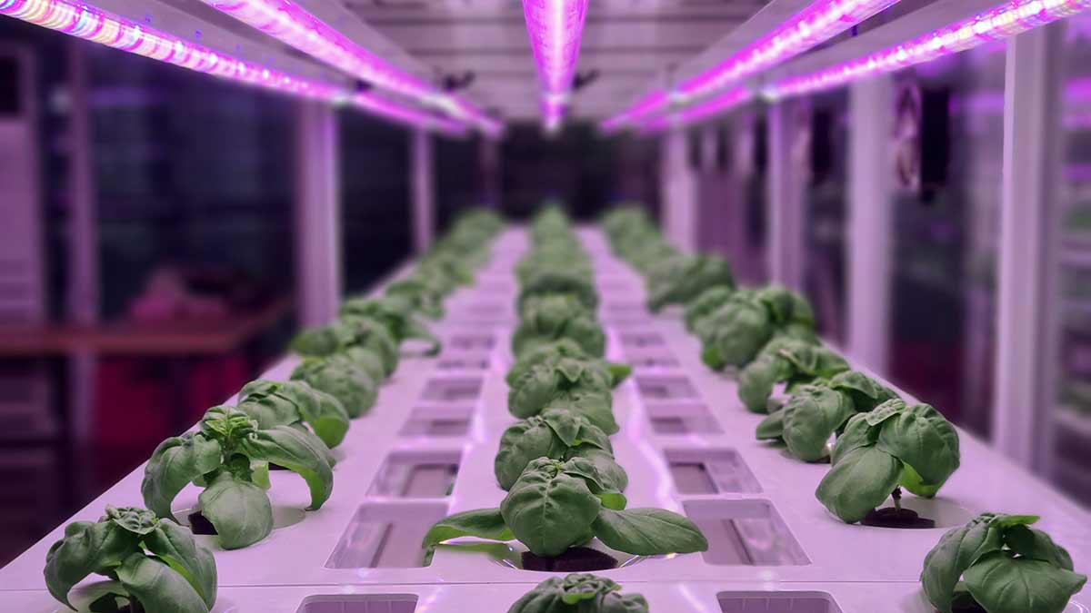 vertical-farming-2