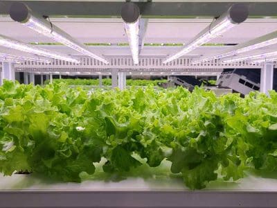 vertical-farming