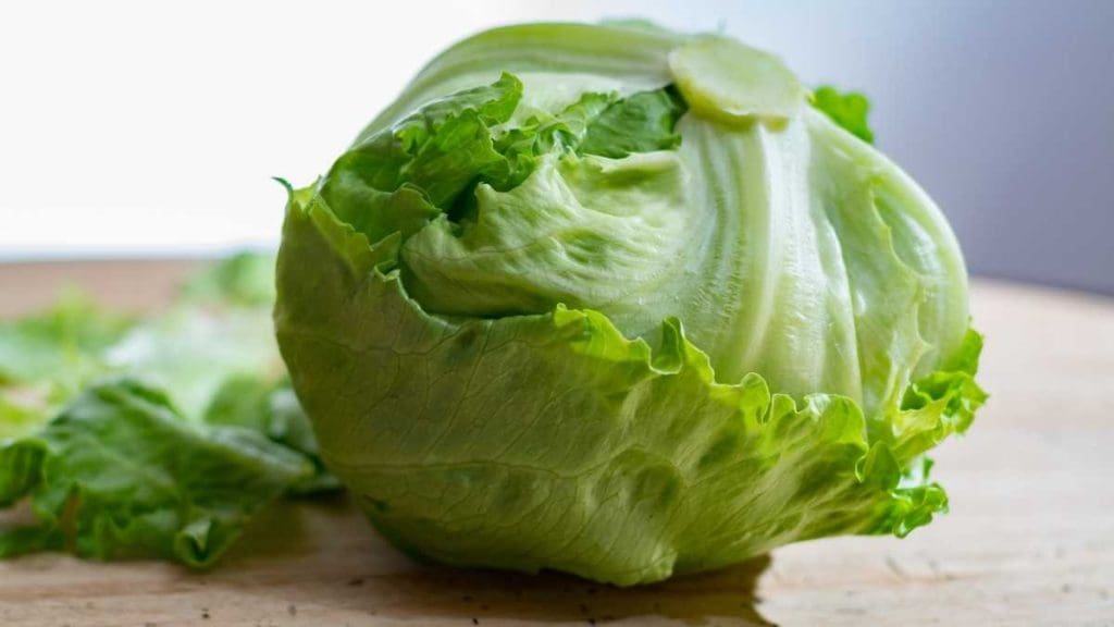 iceberg-lettuce