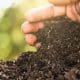 person-holding-soil