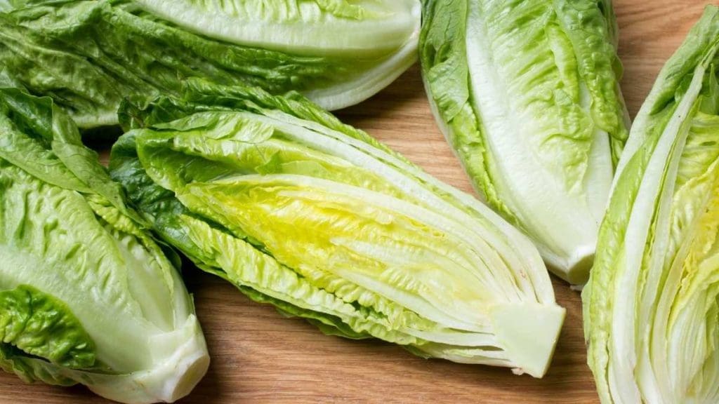 romaine-lettuce