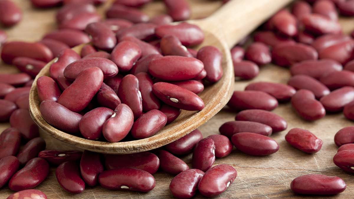 dry-kidney-beans